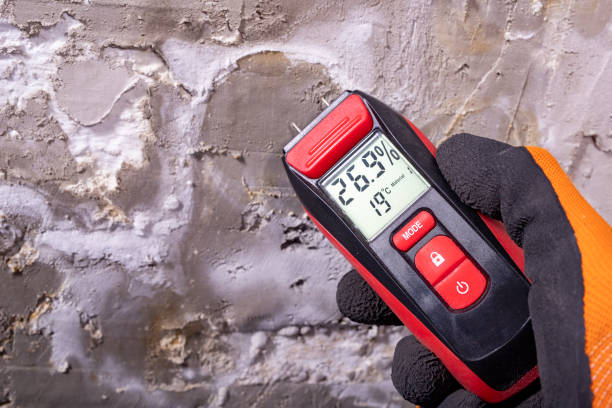 Best Toxic Mold Removal  in Parkers Prairie, MN