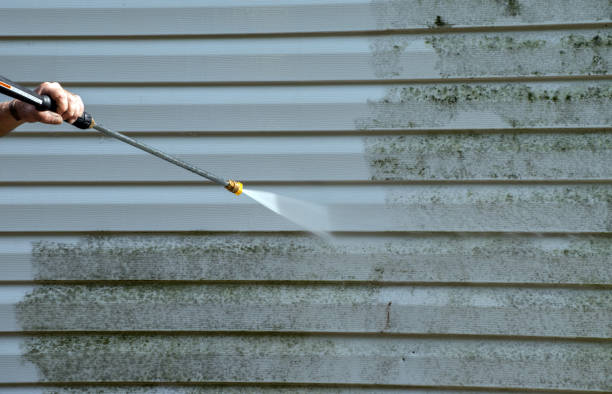 Best Commercial Mold Removal  in Parkers Prairie, MN