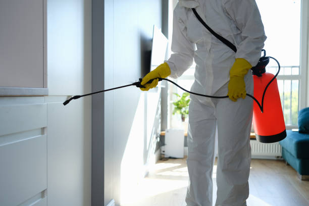 Best Crawl Space Mold Removal  in Parkers Prairie, MN