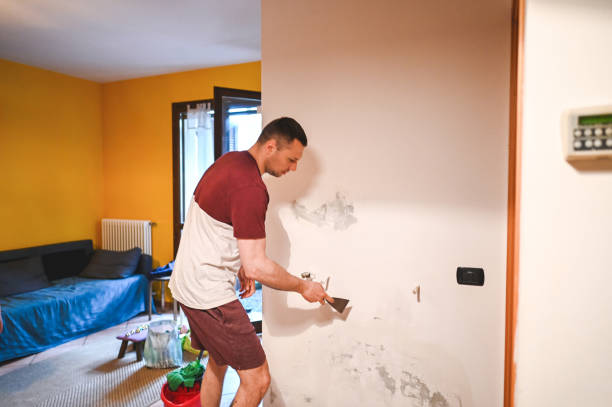 Best Emergency Mold Removal  in Parkers Prairie, MN