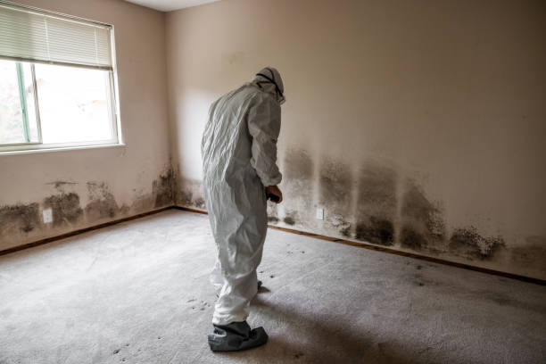 Best Professional Mold Removal  in Parkers Prairie, MN